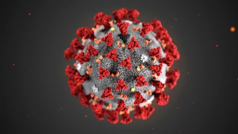 PC to host coronavirus panel discussion
