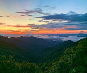 One of the many beautiful views of the hiking trails near PC.