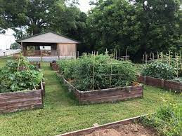 The Clinton Community Garden will be open for health screenings, food, and fun on Sunday, April 3 from 3-6pm.